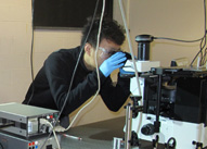 Graduate student working in the lab