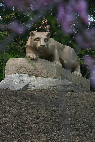 Nittany Lion picture