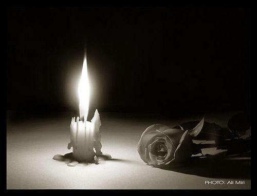 Candle-Flower.bmp